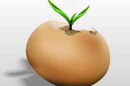 河南天仕源食品有限公司誠招全國烤腸代理商