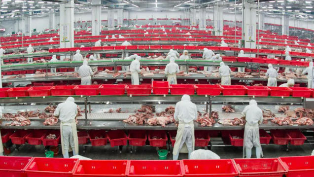 金鑼、郯潤、齊匯、瑞發德、喜姐炸串……山東臨沂“食力派”全鏈發力、高質躍升