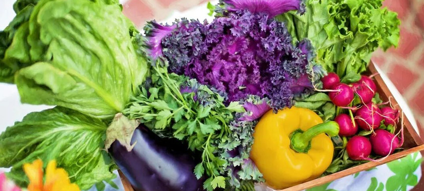 不要小看“兩歲的西蘭花”！冷凍蔬菜承載從田間到餐桌的供應鏈革命